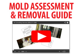 graphic-mold-video